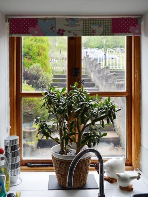Foresters Inn Cottage Parkend エクステリア 写真